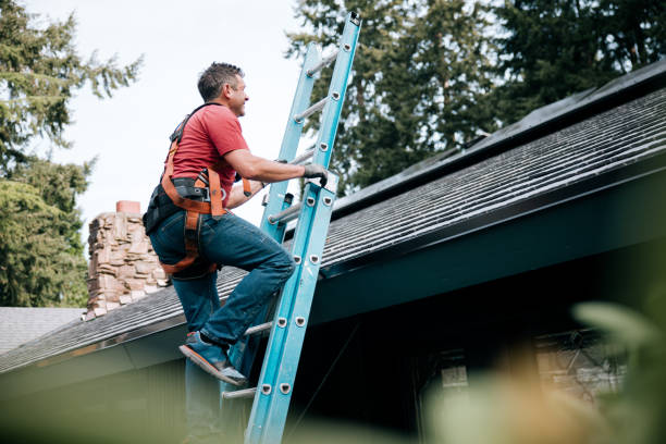 Best Roof Coating and Sealing  in Jacinto City, TX